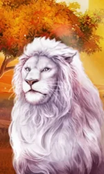 Book Of Majestic King